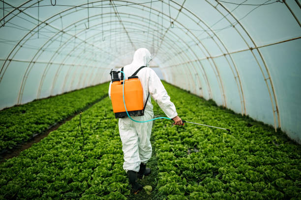 Reliable Sappington, MO Pest Control Solutions