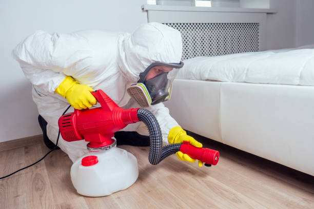 Best Best Pest Control Companies  in Sappington, MO