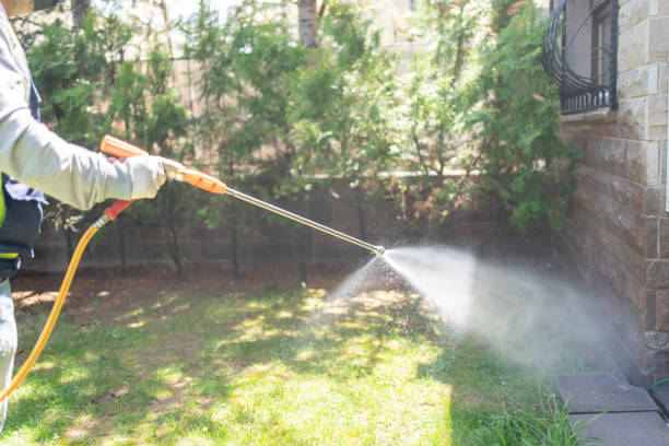 Best Cockroach Control Services  in Sappington, MO