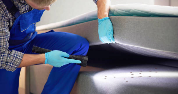 Best Emergency Pest Control  in Sappington, MO
