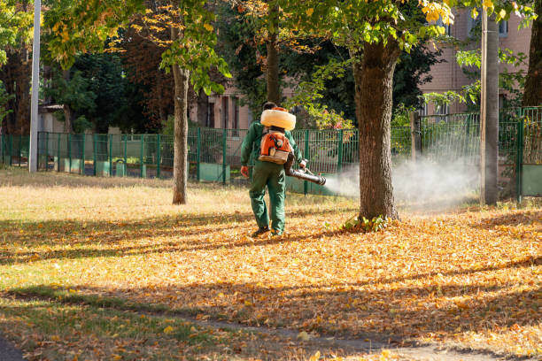 Best Best Pest Control Companies  in Sappington, MO