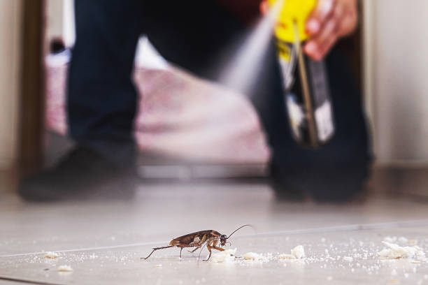 Best Residential Pest Control  in Sappington, MO